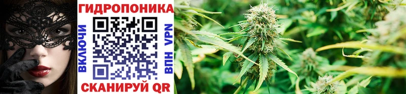 Бошки марихуана Bruce Banner  как найти наркотики  Никольск 